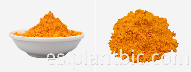 Natural Turmeric extract 95 curcumin